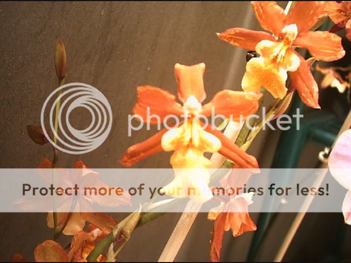 PHTO0021.jpg