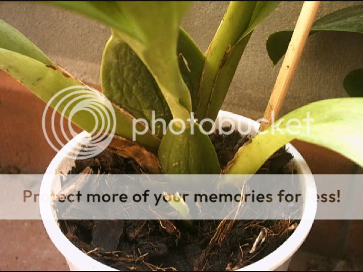 PHTO0023.jpg