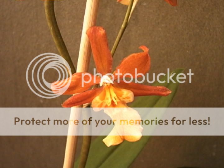 PHTO0027.jpg